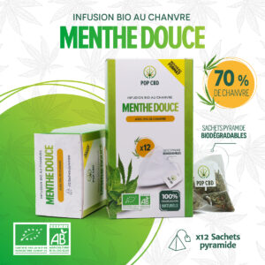 POP CBD Infusion menthe en sachet