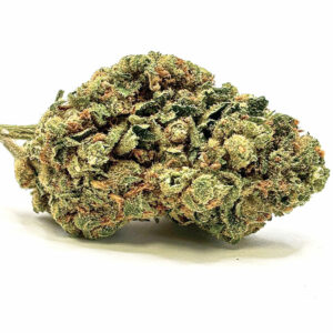 Amnesia - Indoor Hydro