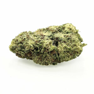 CBG Cryo