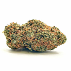 Gelato (USA Genetics)