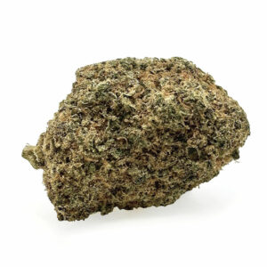 L.A (USA genetics)