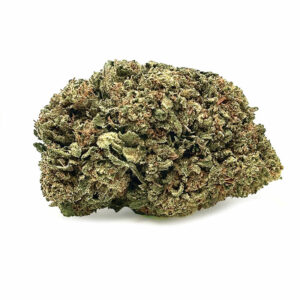 Amnesia Greenhouse