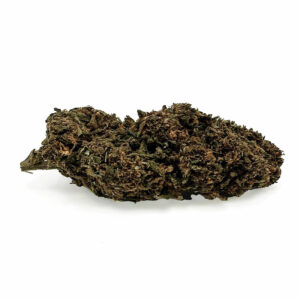 Purple Punch