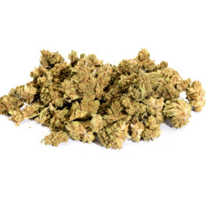 Small Bud Amnesia - Greenhouse