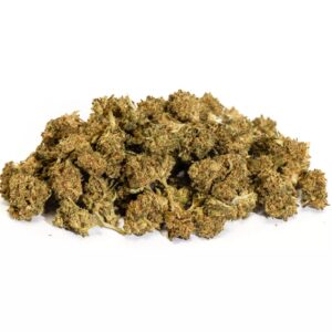 Small Bud Lemon - Greenhouse