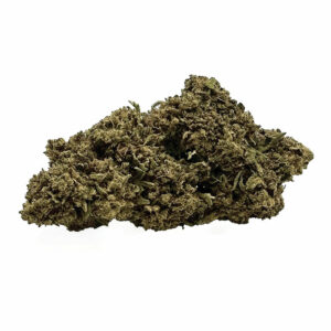 White Widow