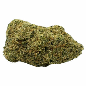 Critical - Indoor Hydro