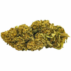 Lemon - Indoor Hydro